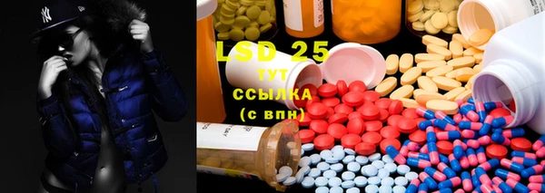 прущие грибы Богородицк