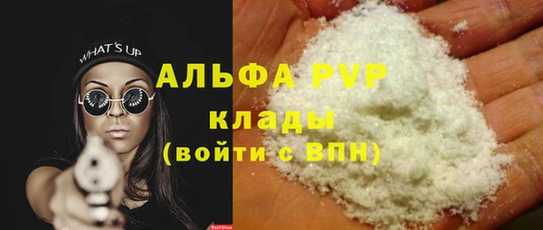 шишки Бородино